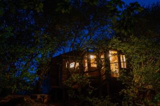 Treehouse Cabin Wilderness Escape - Abergele - 6