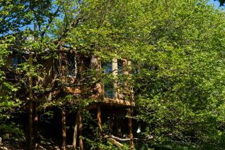Treehouse Cabin Wilderness Escape - Abergele - 2