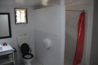 Mana Backpacker and Dive Resort - Nadi - 6