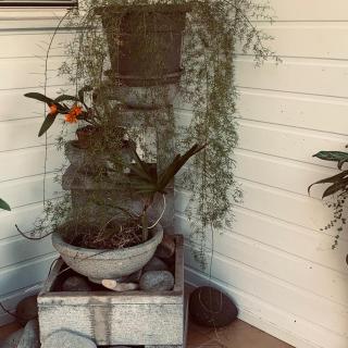 Studio La Marguerite - Deshaies - 2