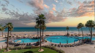 Sonoran Sea - Puerto Peñasco - 1
