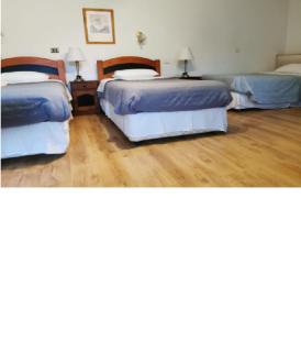 Hotel Montecatini I - Copiapó - 6