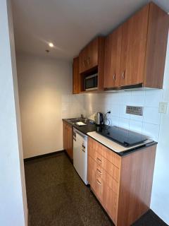 Cozy 1 bedroom unit in parramatta Pool,Spa,Dining - Sydney - 6