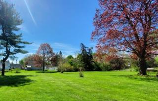 5•Star Fave CapeCodStyle Gem with Bedroom on Main - New Britain - 9