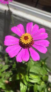 Espaço santo expedito - Custódia - 4