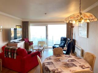 Apartment in Nieuwpoort near the Beach, cleaning included - Nieuwpoort - 5