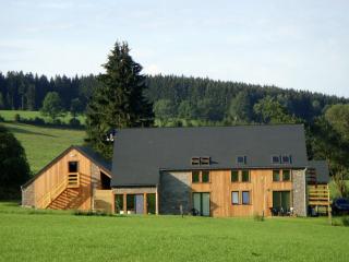 Villa in Manhay with Pool and Forest Nearby, cleaning included - Freineux - 4