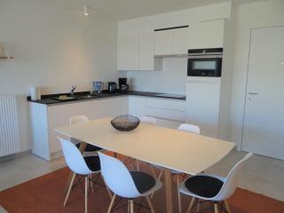 Apartment in Nieuwpoort near the Beach, cleaning included - Nieuwpoort - 0