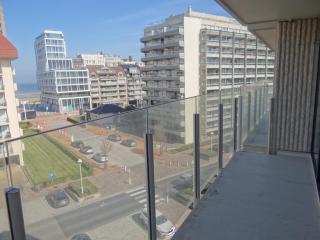 Apartment in Nieuwpoort near the Beach, cleaning included - Nieuwpoort - 6