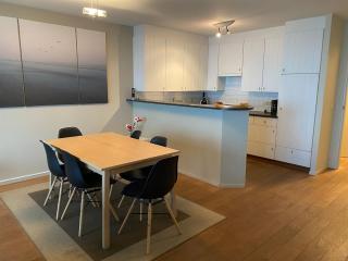 Apartment in Nieuwpoort by the Sea Wall, cleaning included - Nieuwpoort - 3