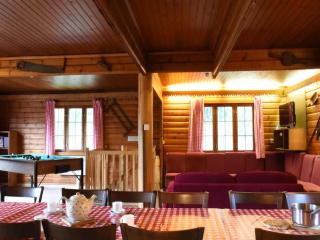 Nature Chalet in Durbuy Forest, cleaning included - Barvaux-sur-Ourthe - 8