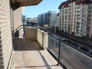 Apartment Nieuwpoort near Sandy Beach, cleaning included - Nieuwpoort - 1