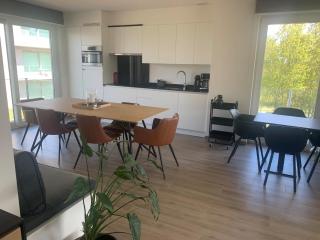 Apartment in Belgium near Scenic Dunes, cleaning included - Nieuwpoort - 4