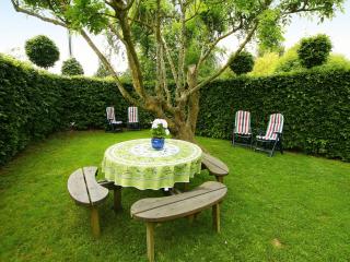 Cottage in Rachamps near Bastogne Museum, cleaning included - - 5