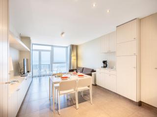 Apartment by Belgian Coast with Beach Views, cleaning included - Oostduinkerke - 6
