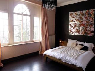 Spacious Spa Villa with Garden, cleaning included - 6