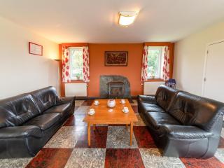 Cottage in Ardennes with Jacuzzi, cleaning included - Ferrières - 0