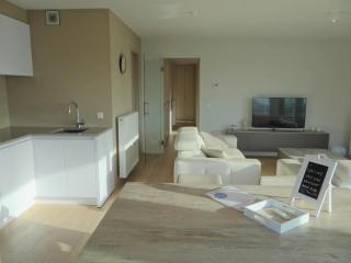 Apartment in Belgium near Golf & Port, cleaning included - 2