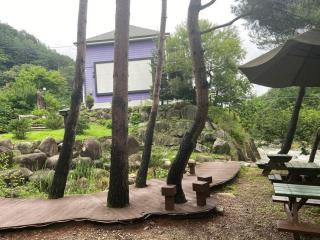 Sangol Story Pension - Gangneung - 6