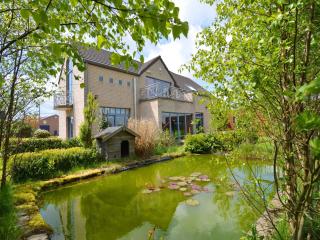 Villa in Sourbrodt with Pool & Sauna, cleaning included - Sourbrodt - 9