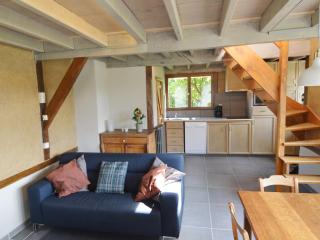 Holiday Home in Flobecq with Private Sauna, cleaning included - - 4
