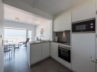 Apartment on Sea Wall with Stunning Views, cleaning included - Koksijde - 1