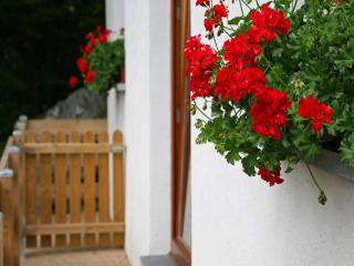 Holiday Home in Sougné-Remouchamps Countryside, cleaning included - Aywaille - 2