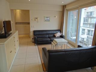 Lighthouse View in Nieuwpoort, cleaning included - 9