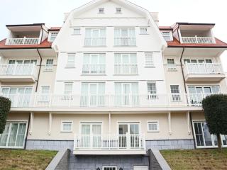 Apartment in Nieuwpoort near the Beach, cleaning included - Nieuwpoort - 5