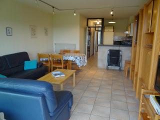 Apartment in Nieuwpoort near Sandy Beaches, cleaning included - Nieuwpoort - 4
