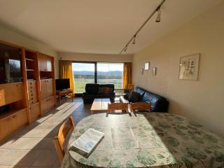 Apartment in Nieuwpoort near Sandy Beaches, cleaning included - Nieuwpoort - 2