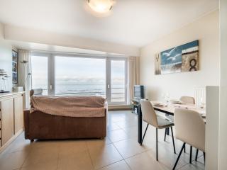 Apartment in Belgium near St-André Dunes, cleaning included - Koksijde - 1