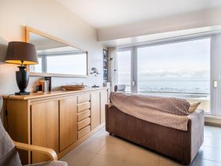 Apartment in Belgium near St-André Dunes, cleaning included - Koksijde - 2
