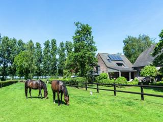 Apartment in Maldegem with Scenic Terrace, cleaning included - Maldegem - 5