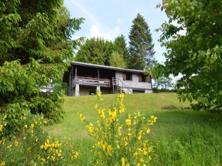 Pretty cottage Ardennes near the Valley of Lesse, cleaning included - Vencimont - 2