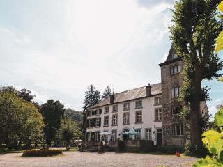 Castle Apartment in Aywaille near River Amblève, cleaning included - Aywaille - 4