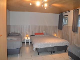 Verviers Villa with Sauna, cleaning included - 1