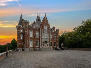 Castle with wellness and zipline, cleaning included - 9