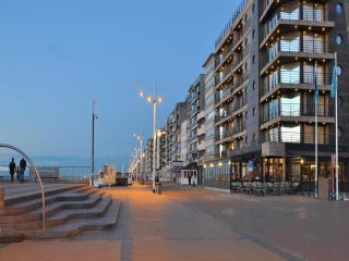 Apartment on Zeedijk with Stunning Sea View, cleaning included - Koksijde - 1