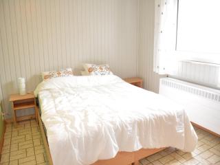Farmhouse in Houffalize near Forest, cleaning included - Halonreux - 1