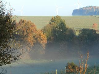 Modern Cottage in Vaux-sur-Sûre with Sauna, cleaning included - Vaux-sur-Sûre - 5