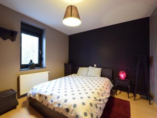 Modern Cottage in Vaux-sur-Sûre with Sauna, cleaning included - Vaux-sur-Sûre - 7