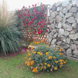 Aires de Montaña - Ullún - 2