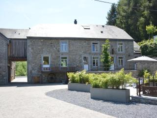 Renovated Mill in Gedinne with Garden, cleaning included - Vencimont - 8