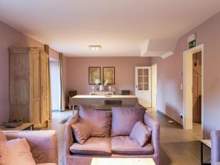 Renovated Mill in Gedinne with Garden, cleaning included - Vencimont - 9
