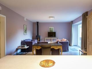 Renovated Mill in Gedinne with Garden, cleaning included - Vencimont - 5