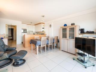 Apartment in Nieuwpoort by the Seafront, cleaning included - Koksijde - 3