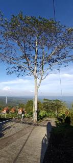 Camaradvipa Retreat Munduk - Munduk - 8