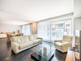 Apartment in Belgium 100m from the Sea, cleaning included - Koksijde - 0