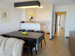 Apartment in Nieuwpoort near Sandy Beaches, cleaning included - Nieuwpoort - 0